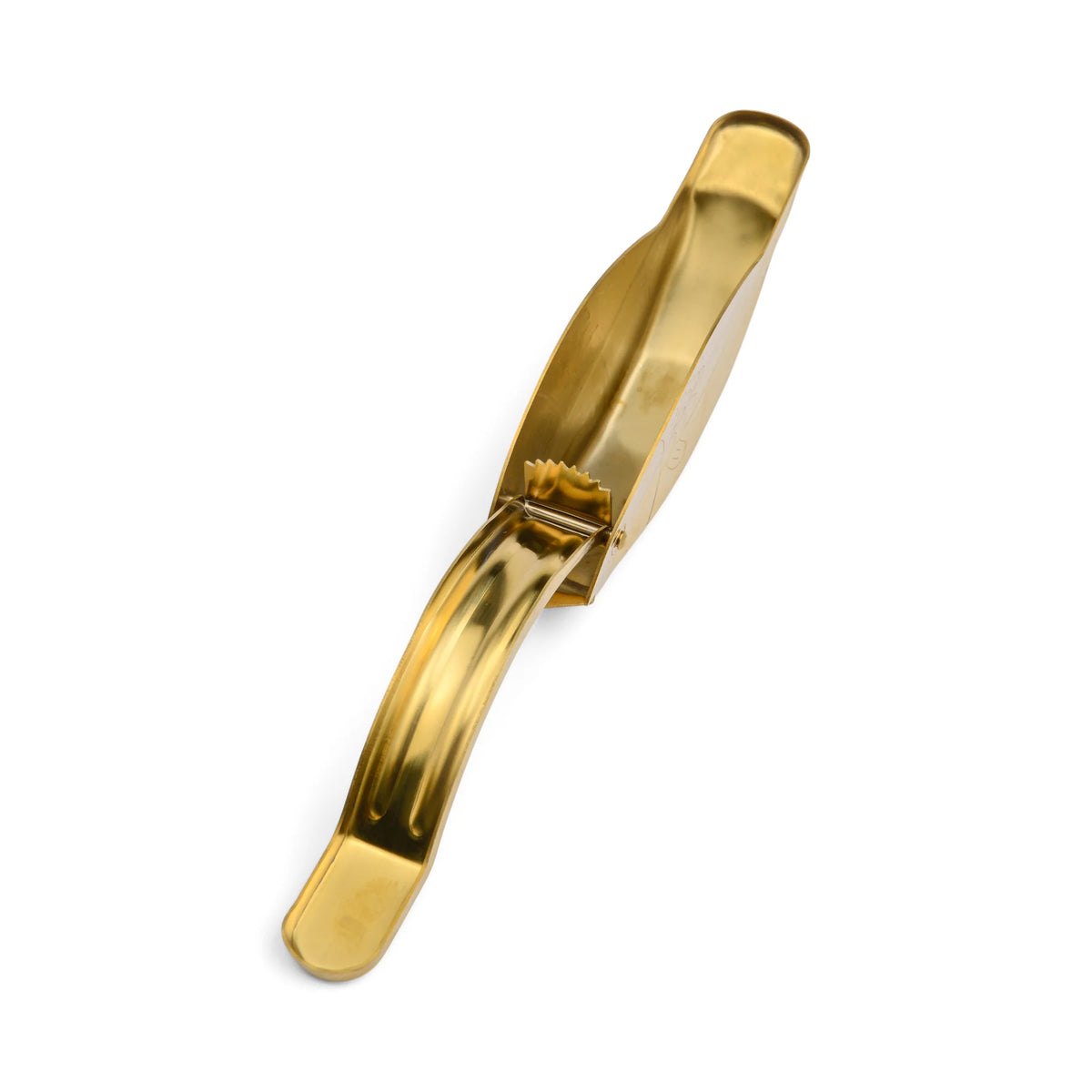 Fish Citrus Juicer – Gold Stainless Steel Lemon Squeezer