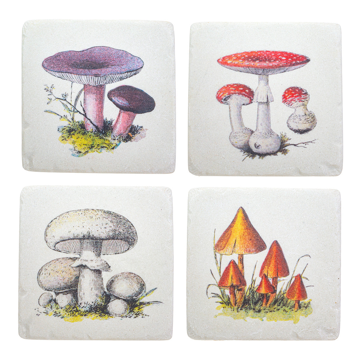 Vintage Mushroom Coasters Set of 4 | Cottagecore Botanical Drink Coasters | Nature Gift